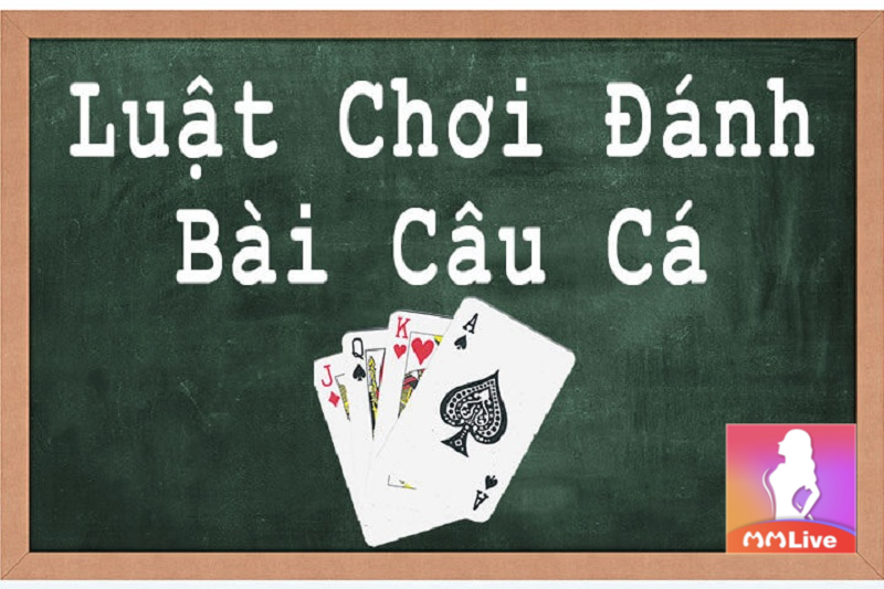 Đánh bài câu cá - Nắm vững quy luật để giành chiến thắng tuyệt đối 2 luật chơi bài câu cá