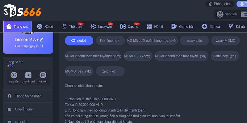 Nạp Tiền S666 Hiệu Quả Dành Cho Tất Cả Thành Viên Mới 3 Lý do làm cho việc nạp tiền tại nhà cái S666 bị trì hoãn