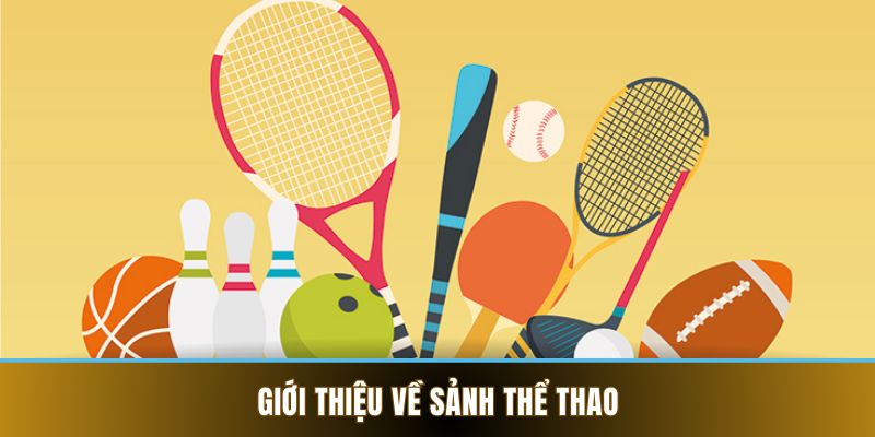 Thể Thao VB88 - Cá Cược Online Kiếm Lời Hot Nhất 2025 1 Giới thiệu về sảnh thể thao